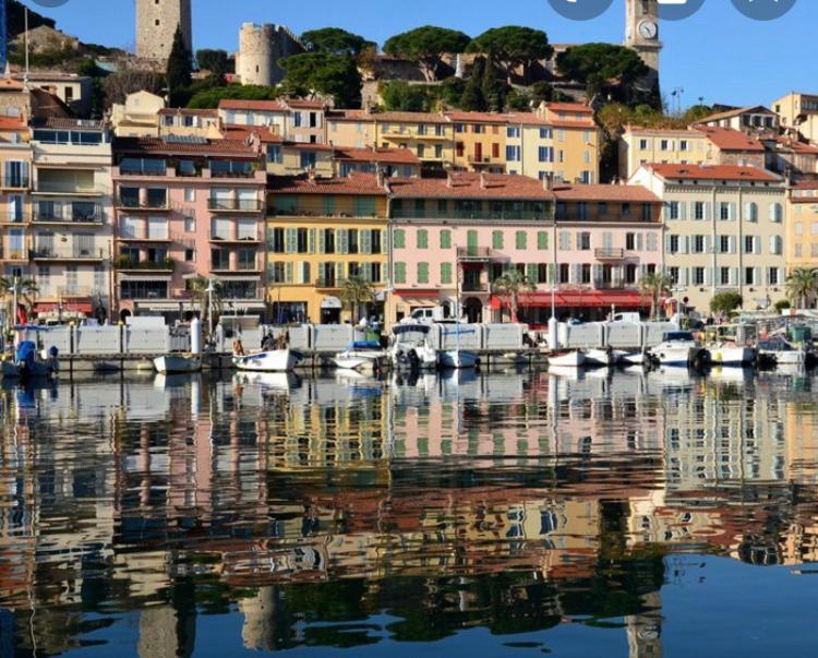 A Deux Pas Du Palais Des Festivals , Deux Pieces Dans Le Bas Du Quartier Historique Du Suquet A Cannes