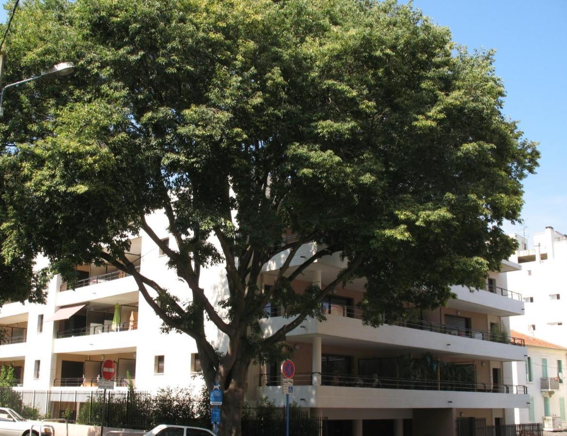 Spacious Luxury Apt, 12 Min Walk To Croisette And Conf Centre