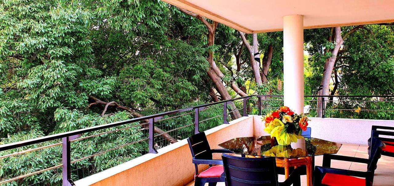 Apartment Spacious Luxury Apt, 12 Min Walk To Croisette And Conf Centre *