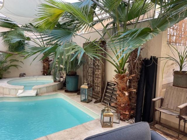 Cocoon In ***** Apartment Cannes