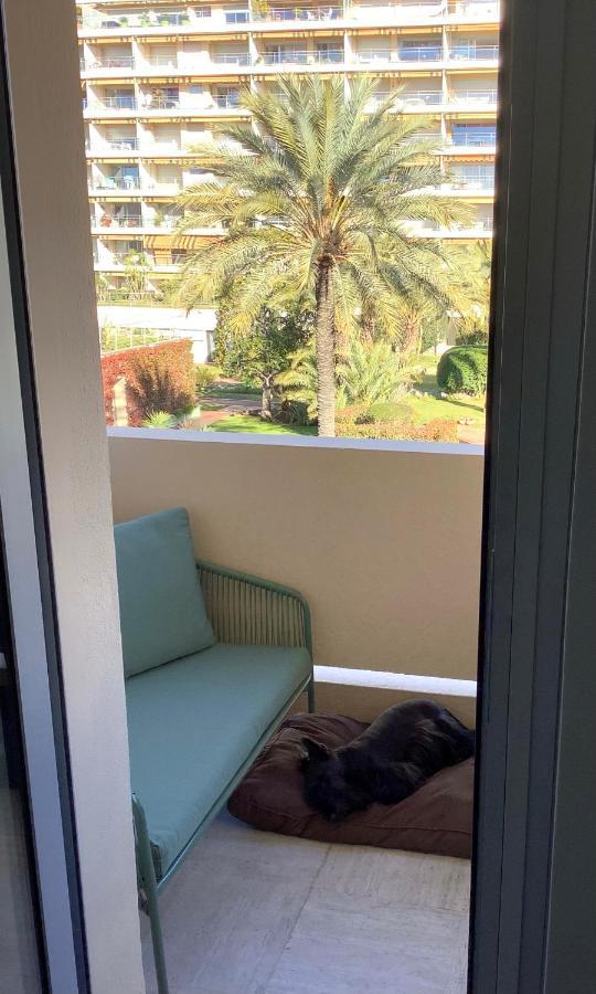 Mimosa Croisette Appartement