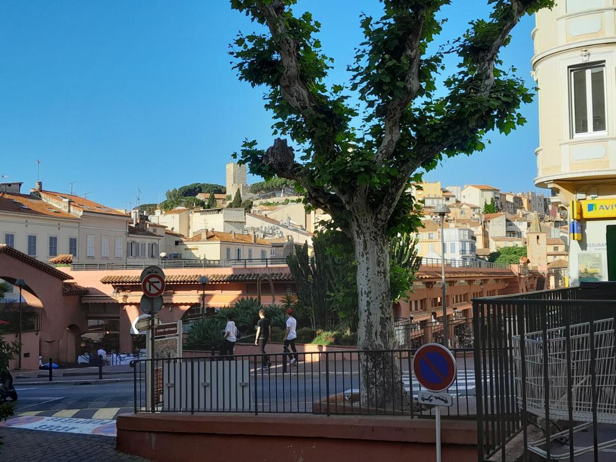 Forville Cannes