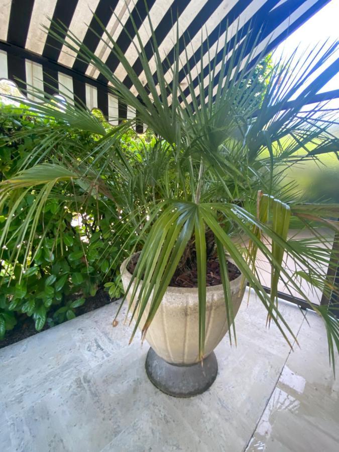 Un Coin De Paradis Appartement *