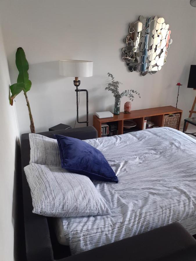 Apartment Studio Terrasse Proche Palais Des Festivals *