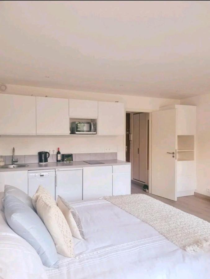 Apartment Studio Puiatti Cannes