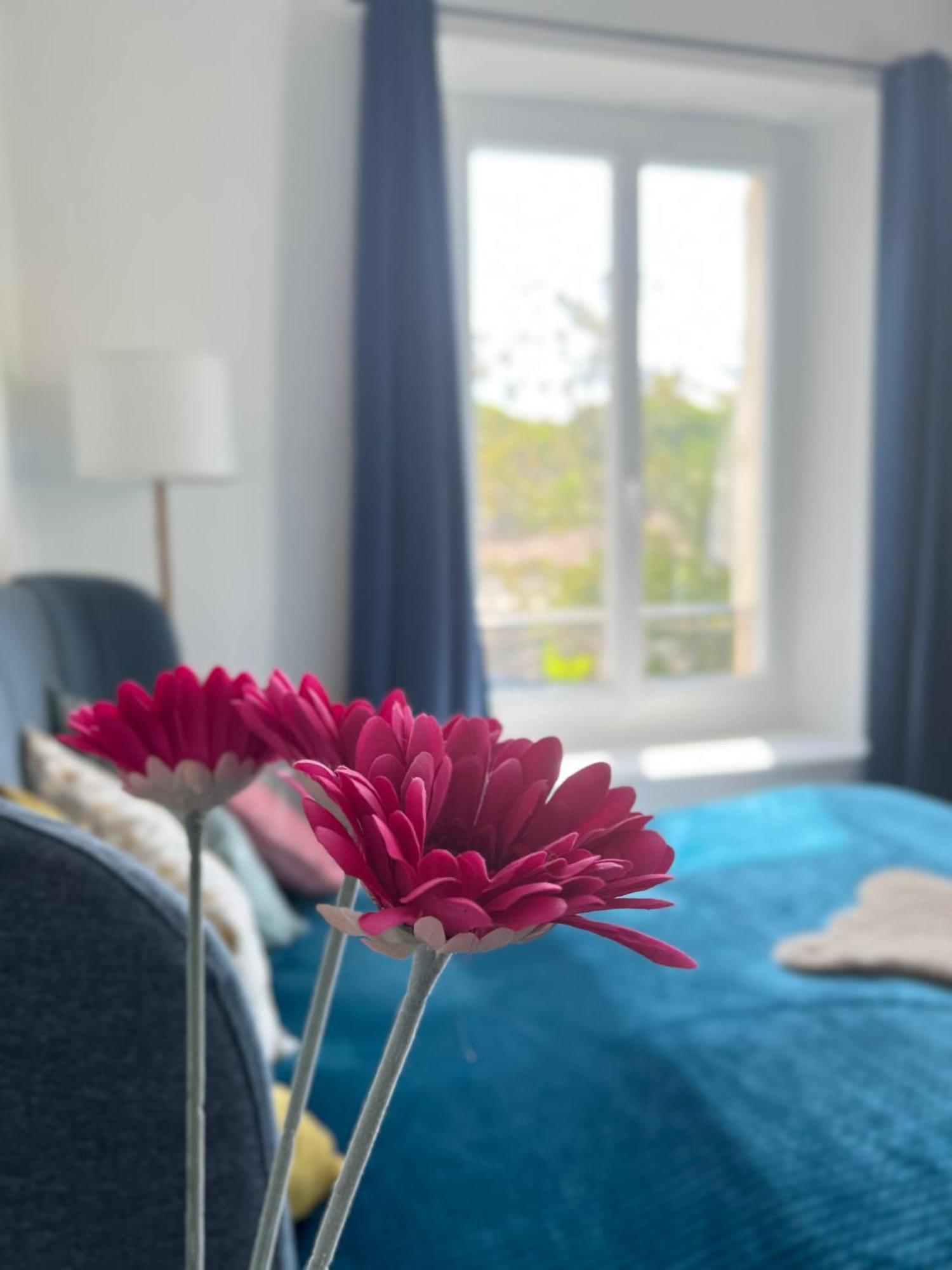Appartement Fiorella's Oasis