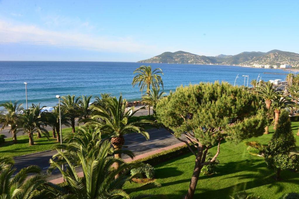 Appartement Studio - Front De Cannes
