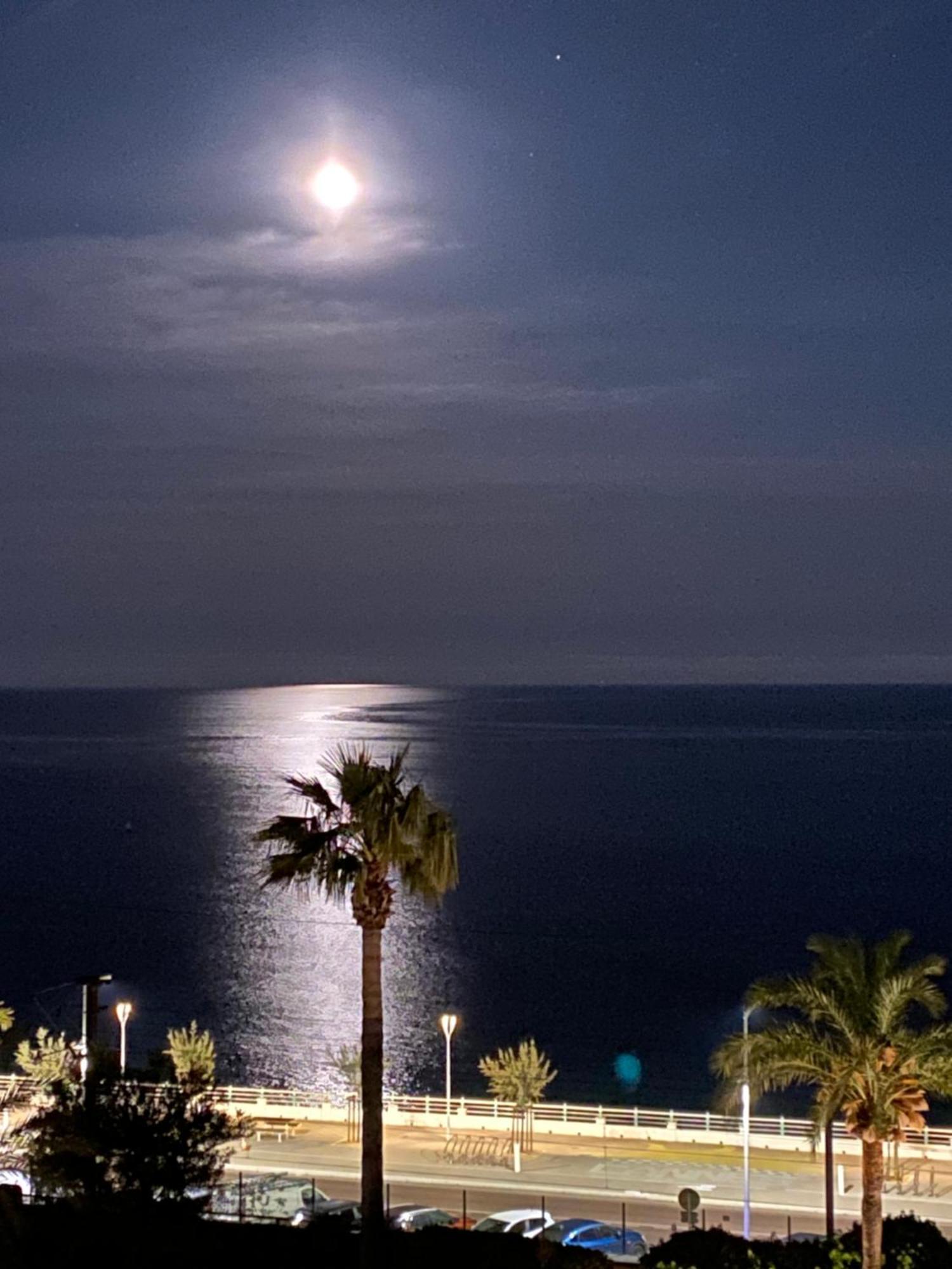 Bord De Mer, Terrasse, A Pieds * Cannes