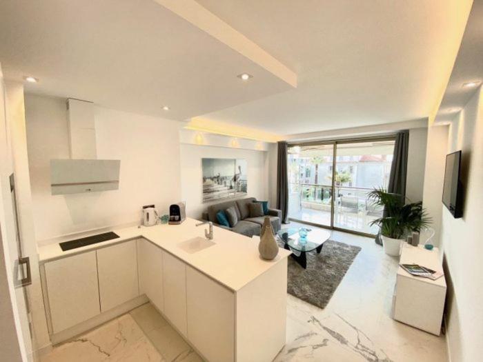 Croisette Grand Apartment Cannes