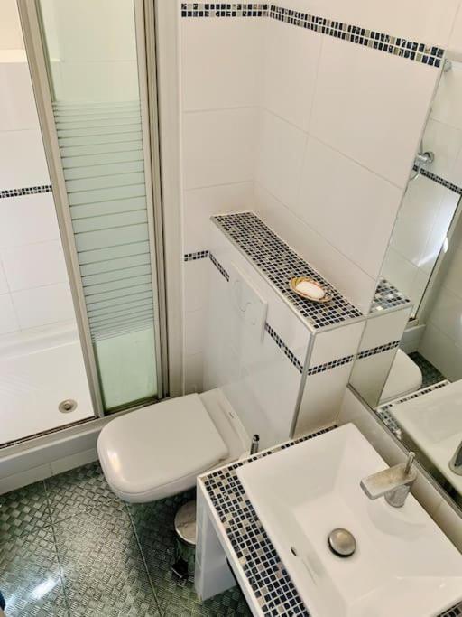 Superbe En Plein Centre De Apartment