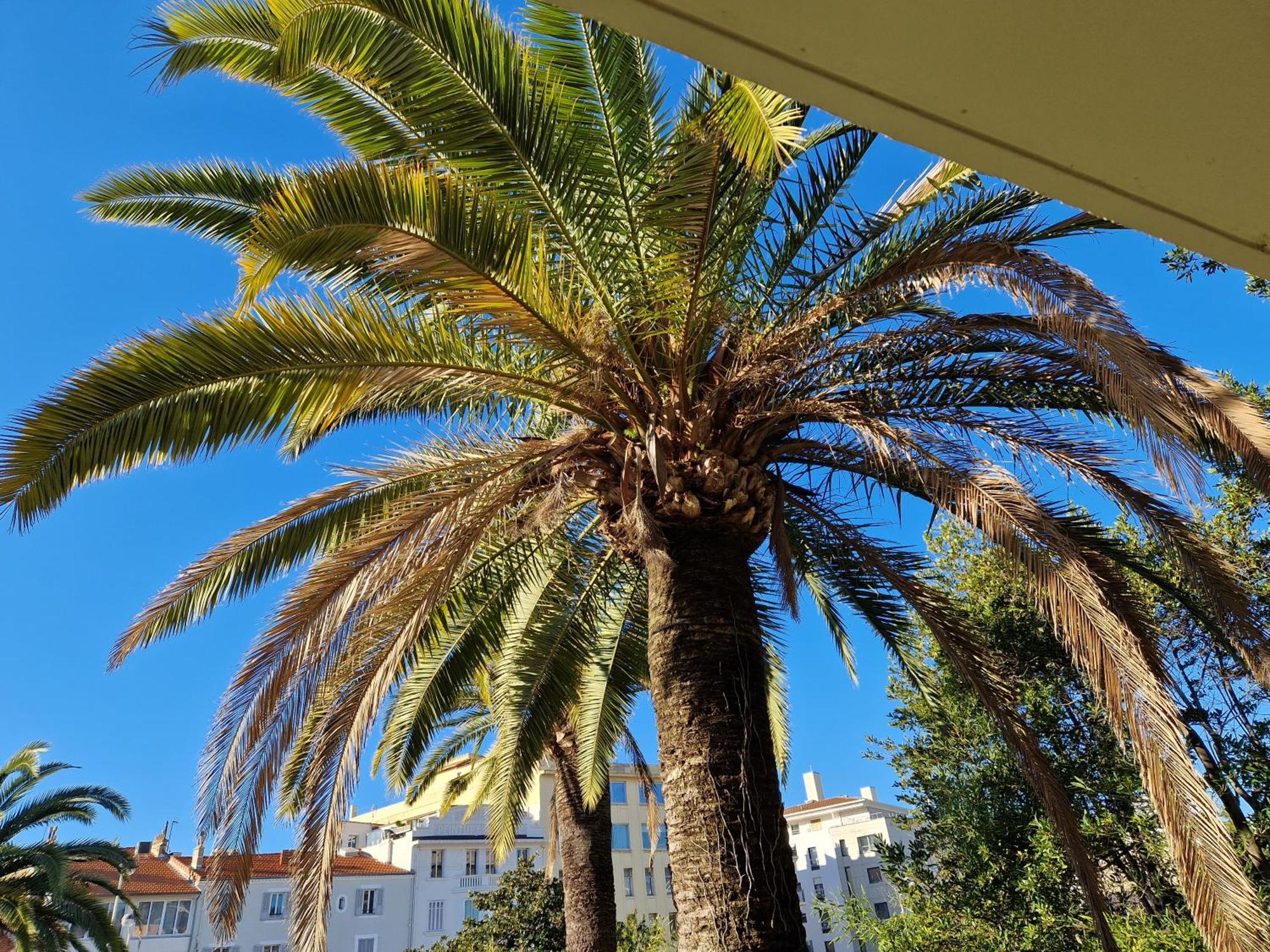 Pres Croisette Beau 2 Pieces 3 Etoiles Cannes