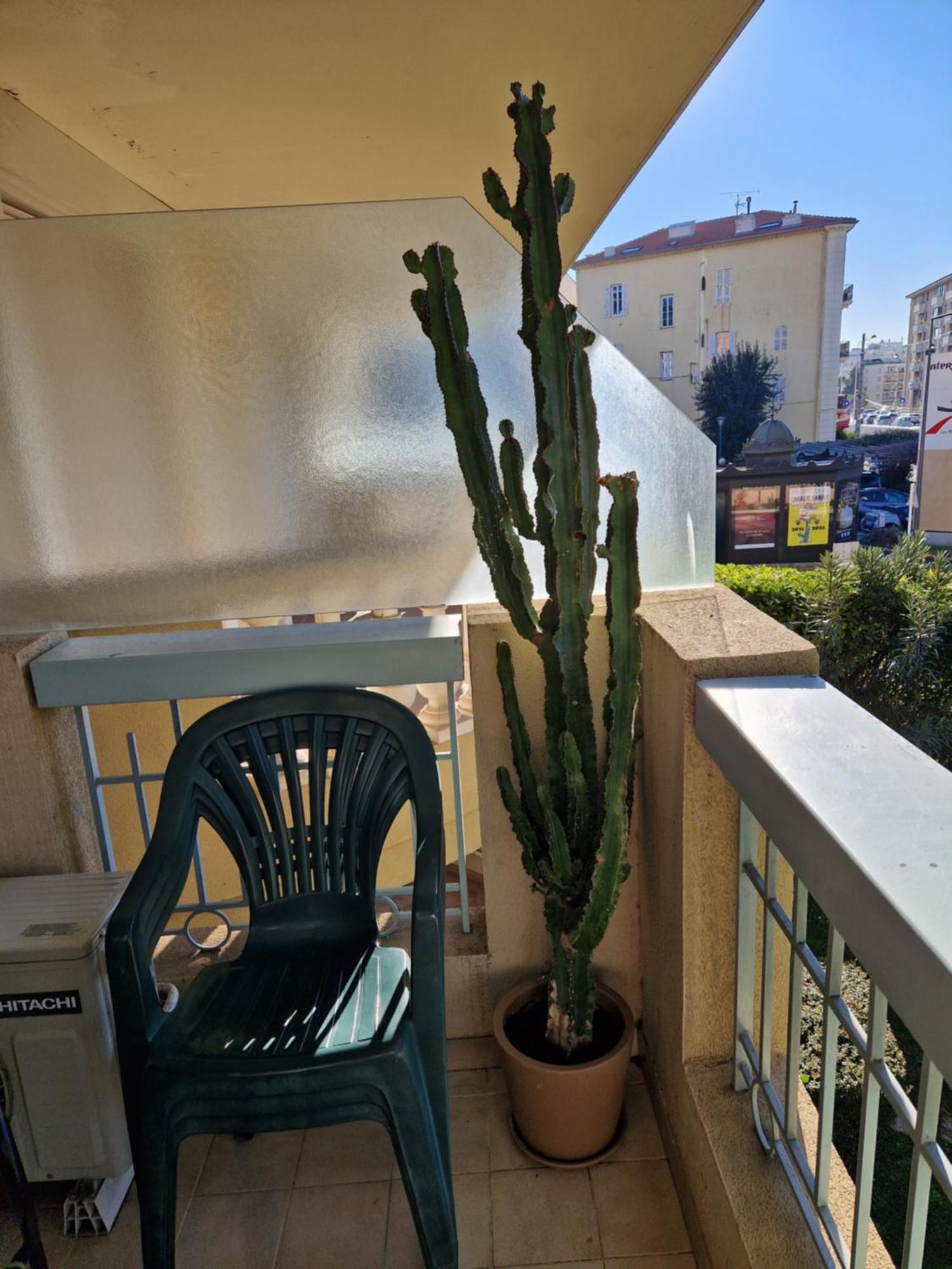 Pres Croisette Beau 2 Pieces 3 Etoiles Apartment Cannes