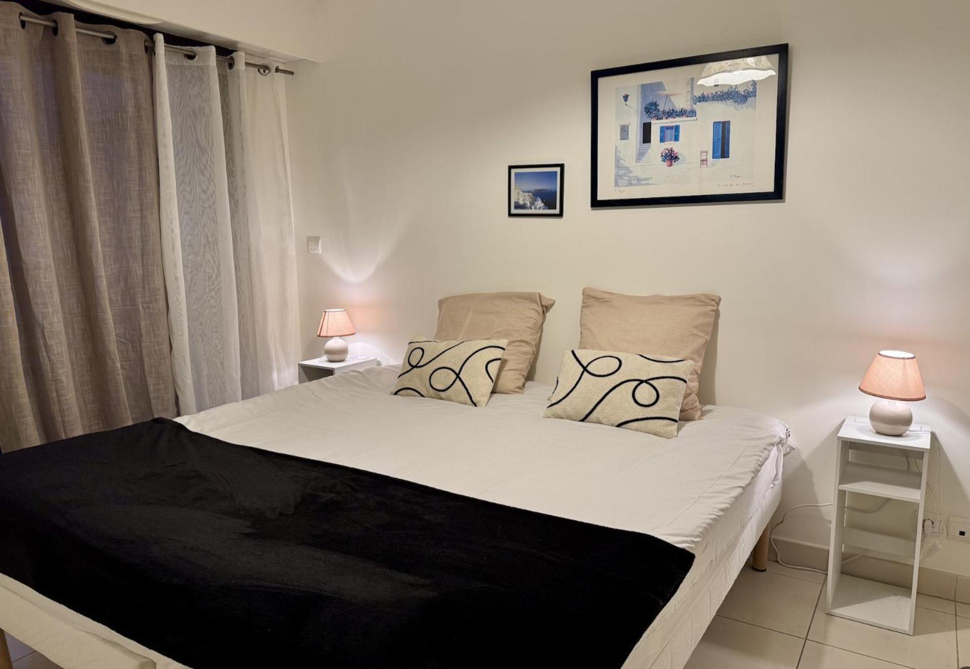 Spacious Luxury Apt, 12 Min Walk To Croisette And Conf Centre Apartment
