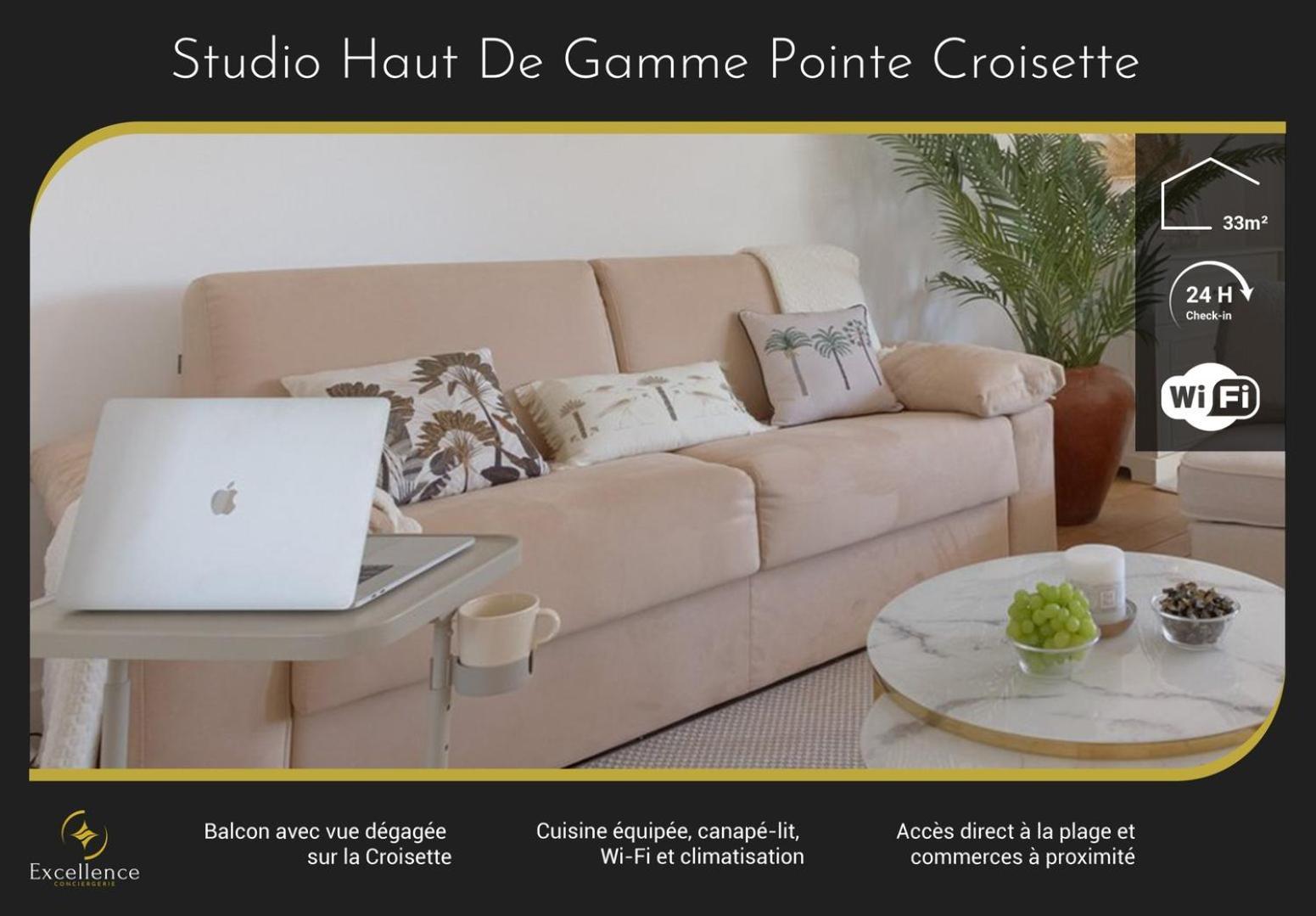 Hight Standing Point Croisette Cannes