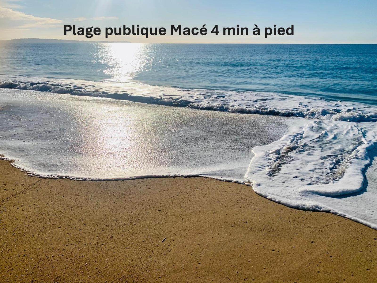 Exceptionnel 4 Pieces Balcon Carre D Or A3b129 Cannes