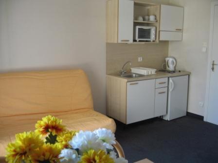 Apartment France Hoteliere *