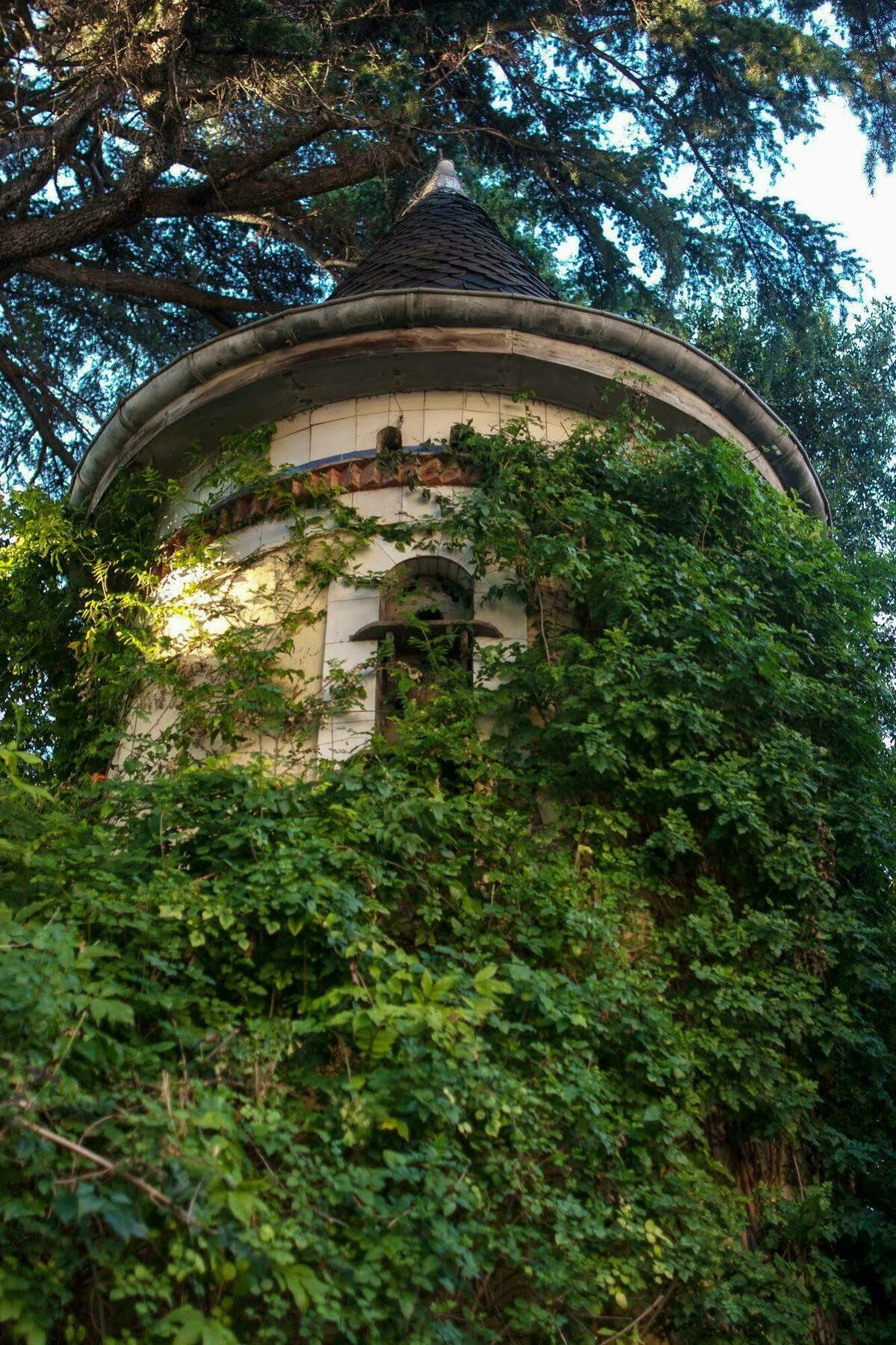 Parc Montrose * Cannes