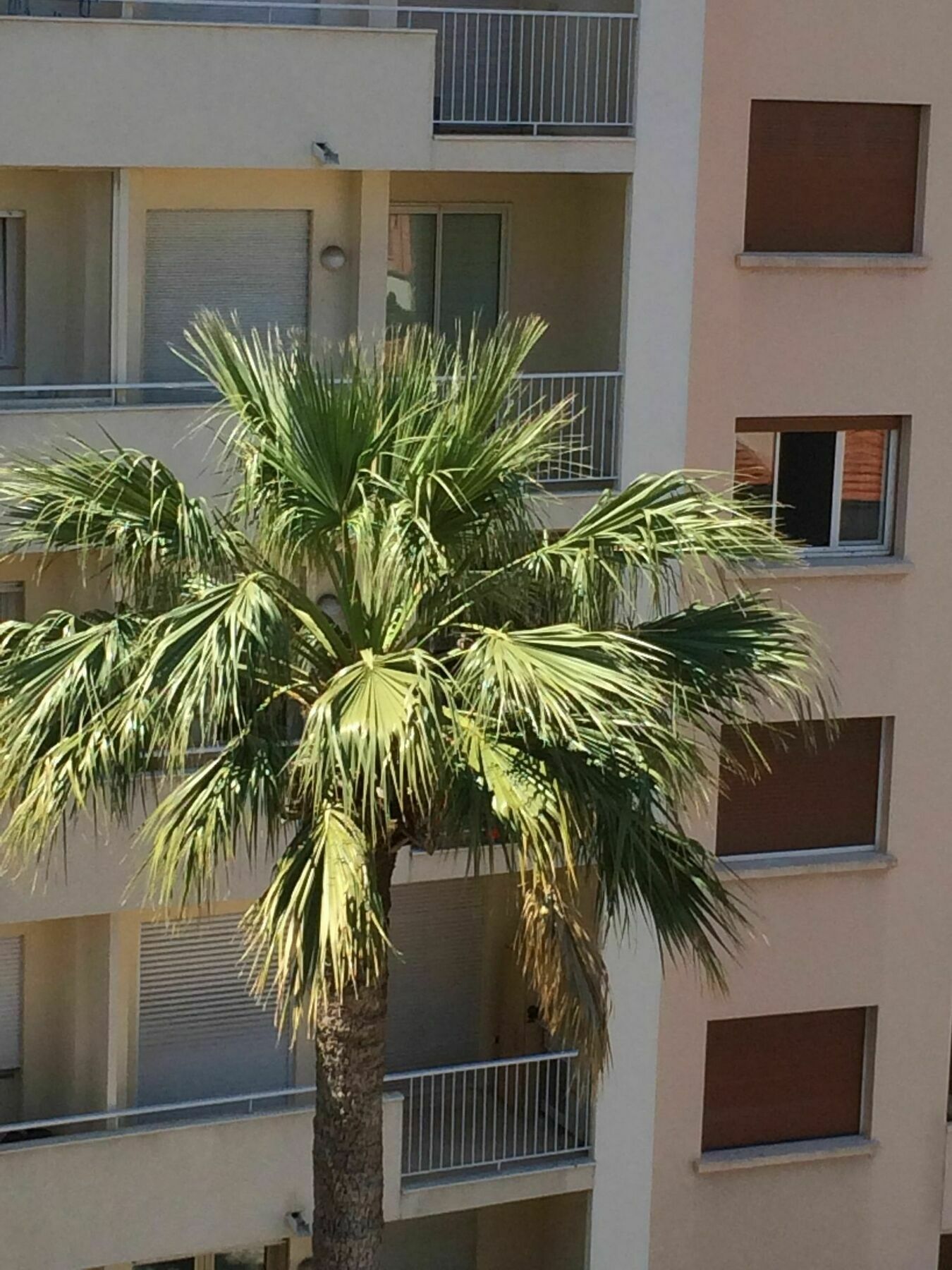 Apartment De Gamme - Centre Cannes