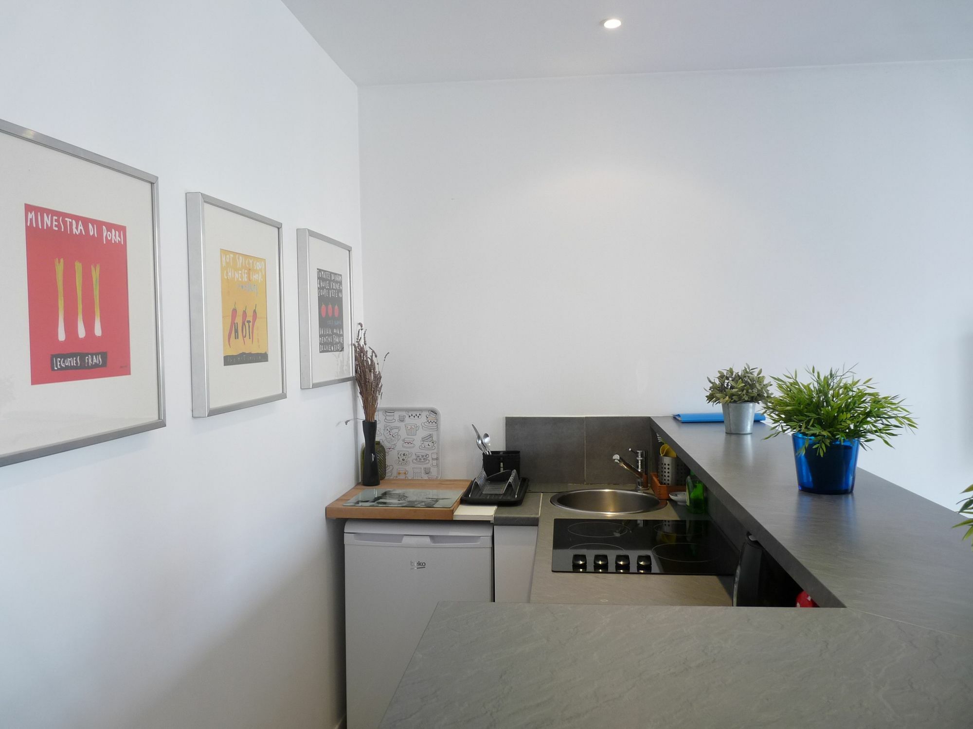 Apartment Lumiere Cannes