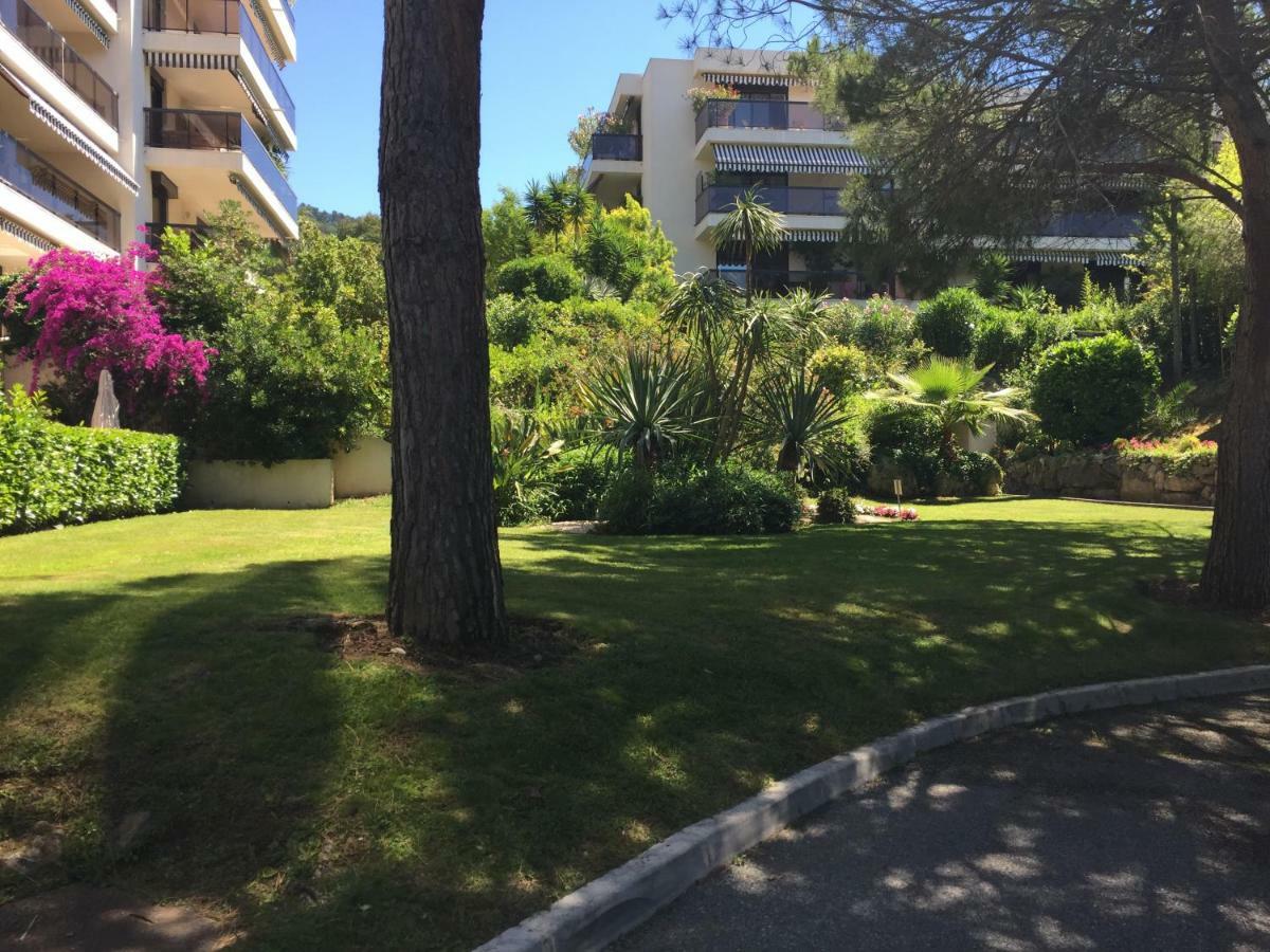 Un Coin De Paradis * Cannes
