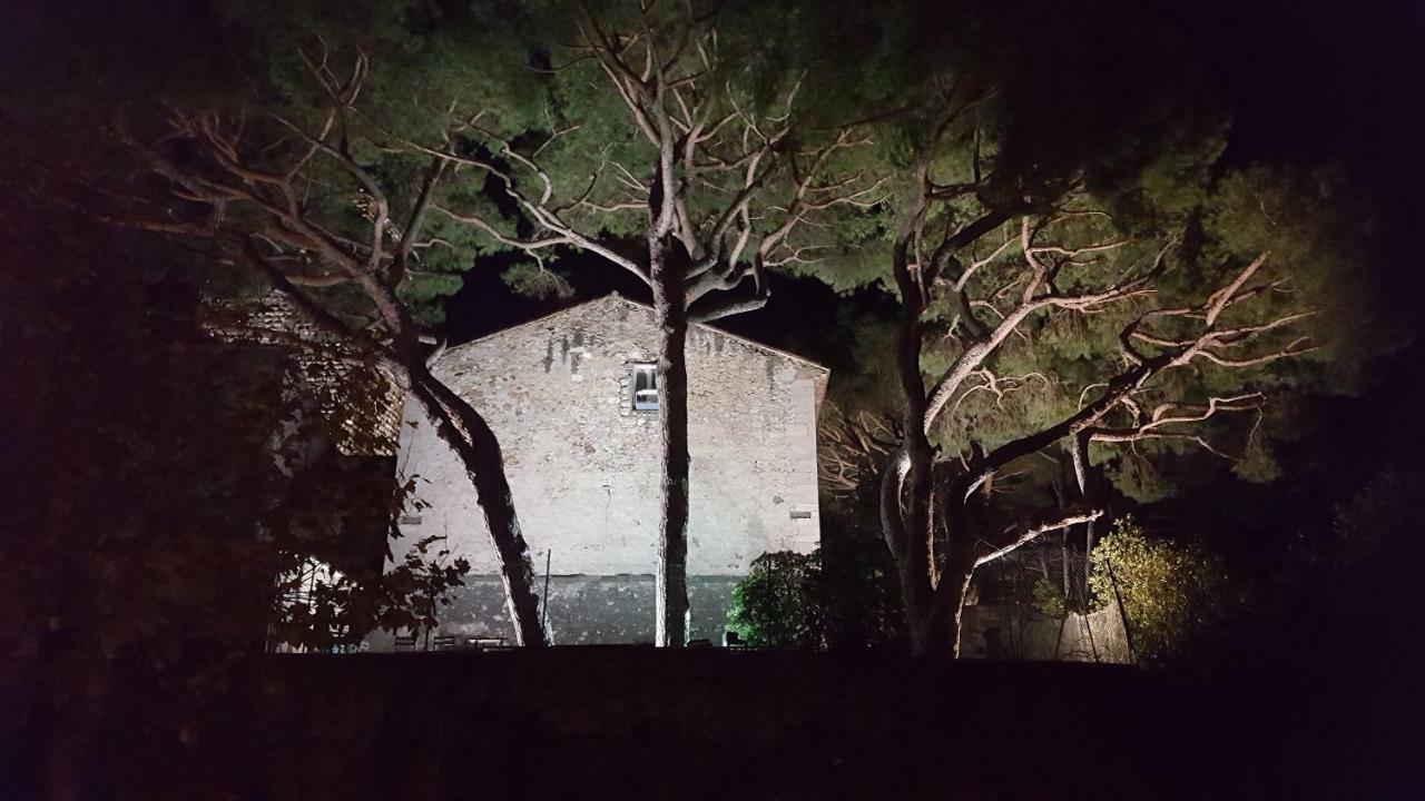 Suquet Cannes
