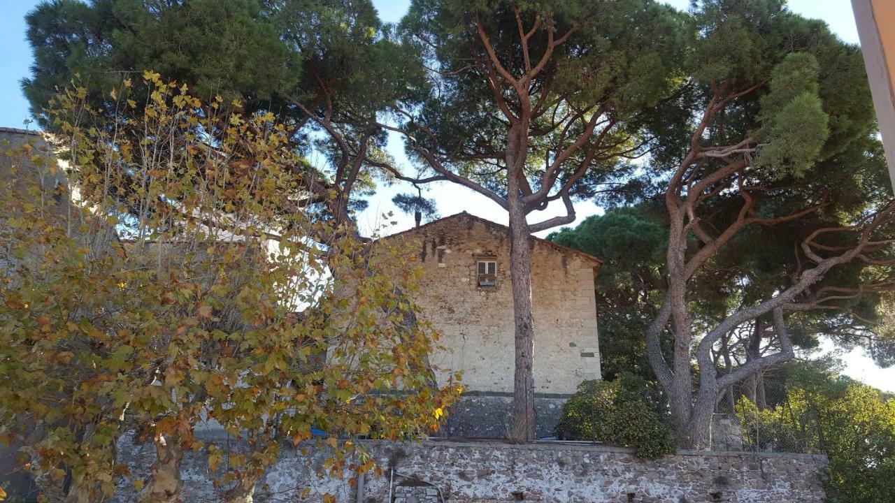 Suquet Cannes