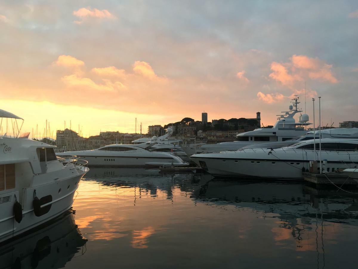 Center Festival And Apartment Cannes