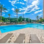 La Palme D\'Azur