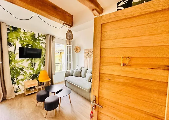 Les Appartements De Nana 12 - Studio Hypercentre, Rue Meynadier, Palais & Plage, Clim, Wifi