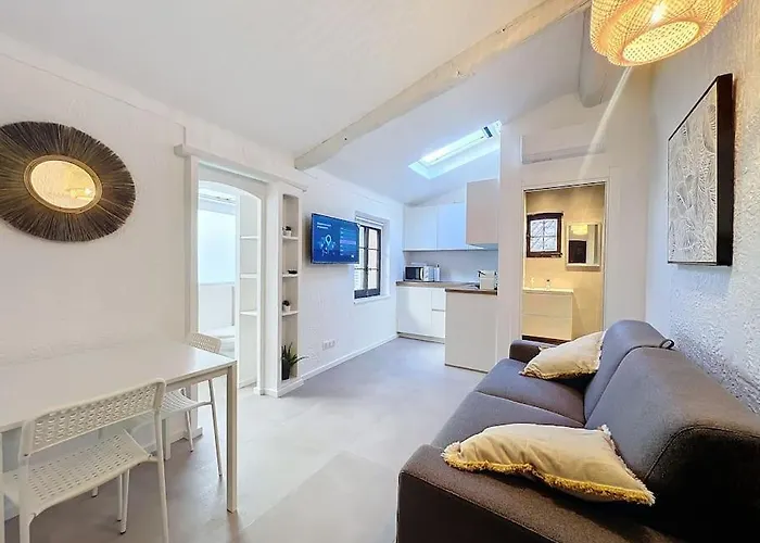 Joli Studio Cannes Marche Forville
