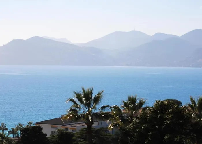 Cannes Appartement 4 Pers Vue Mer Wi Fi Climatisation Piscine