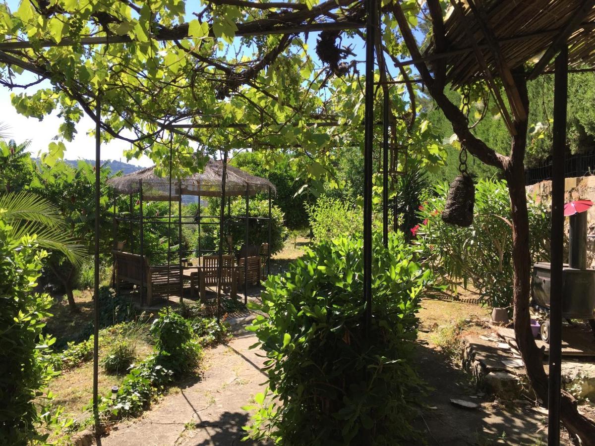 D'hotes Bellevue Bed & Breakfast