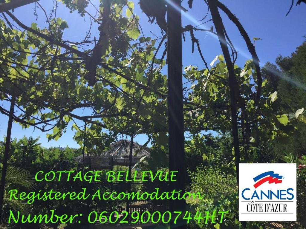 D'hotes Bellevue Bed & Breakfast Cannes
