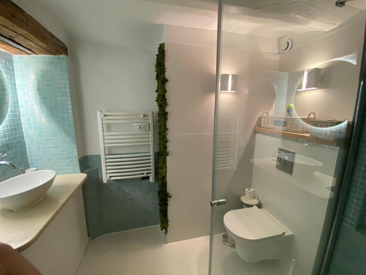 Villa Cote Sud Cannes