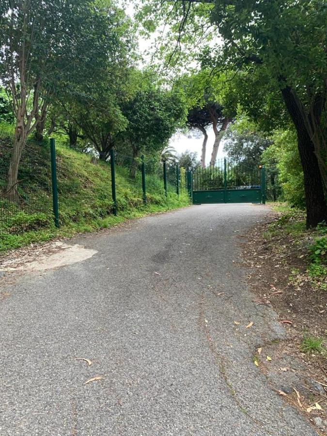 Villa Les 5 Palmiers * Cannes