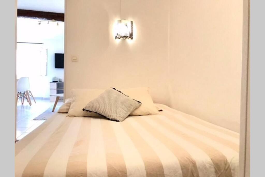 78 Rue Meynadier Plage, Lions Festival 3 Minutes A Pieds Appartement