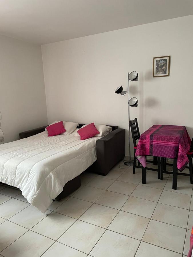 Fushia Apartment Cannes