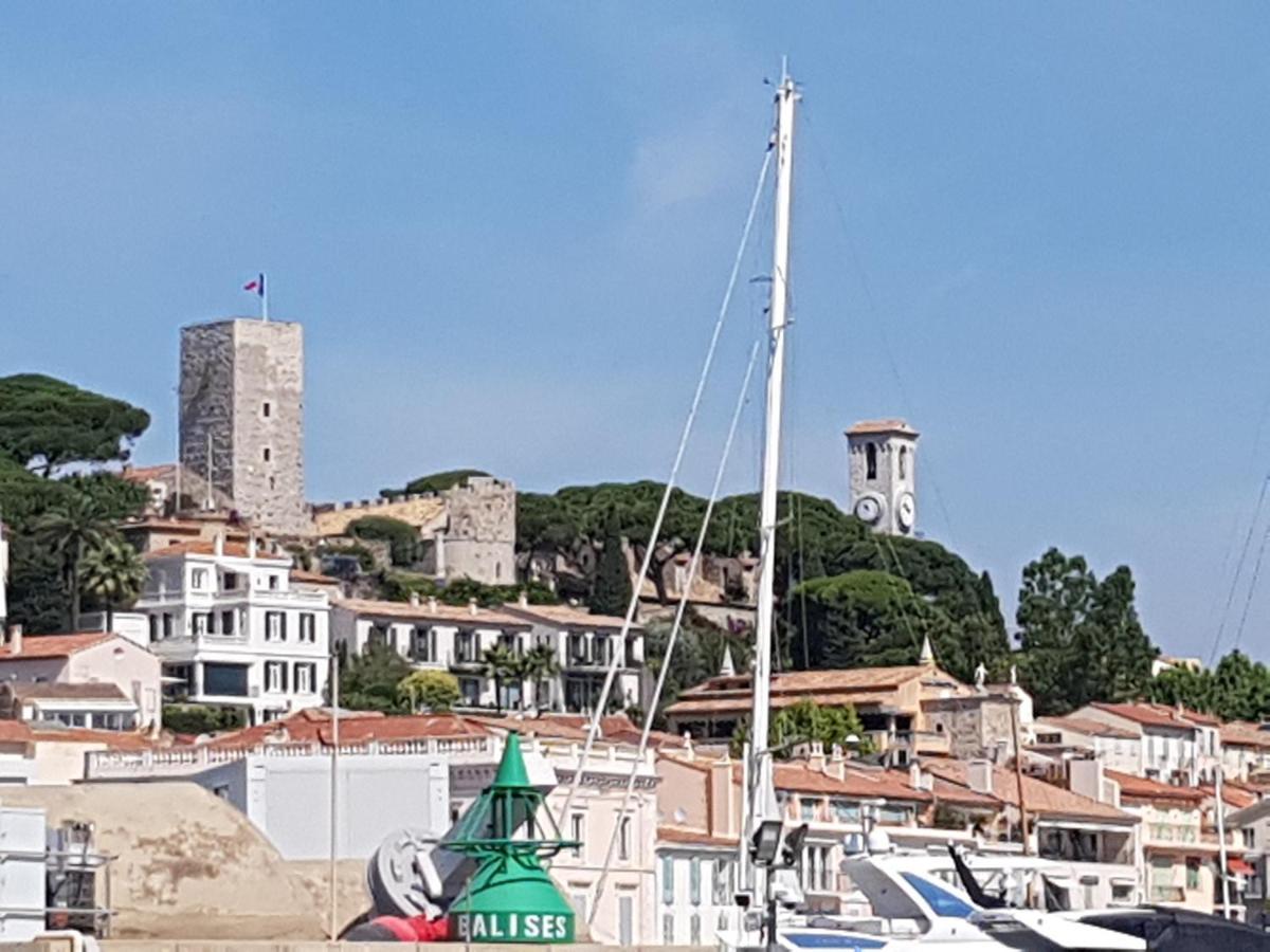 President, Vue Mer, Festival, Quartier Forville Le Suquet Cannes