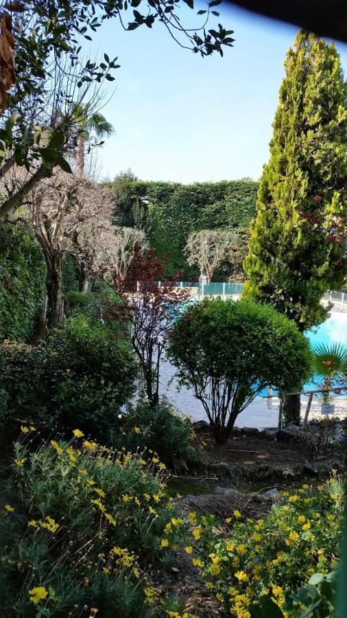 Apartment In A With Swimming Pool Wifi Cannes