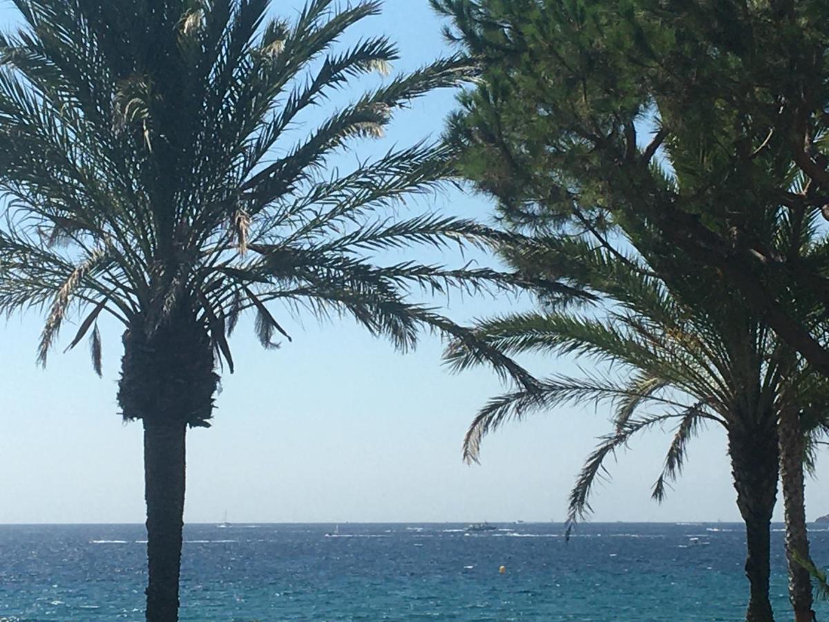 Terrace Front & Sea View Cannes