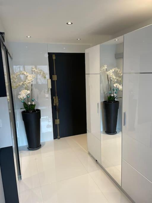 Eider Croisette Apartment