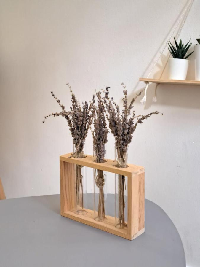 Appartement Small And Functional Studio In A Charming - Benakey *