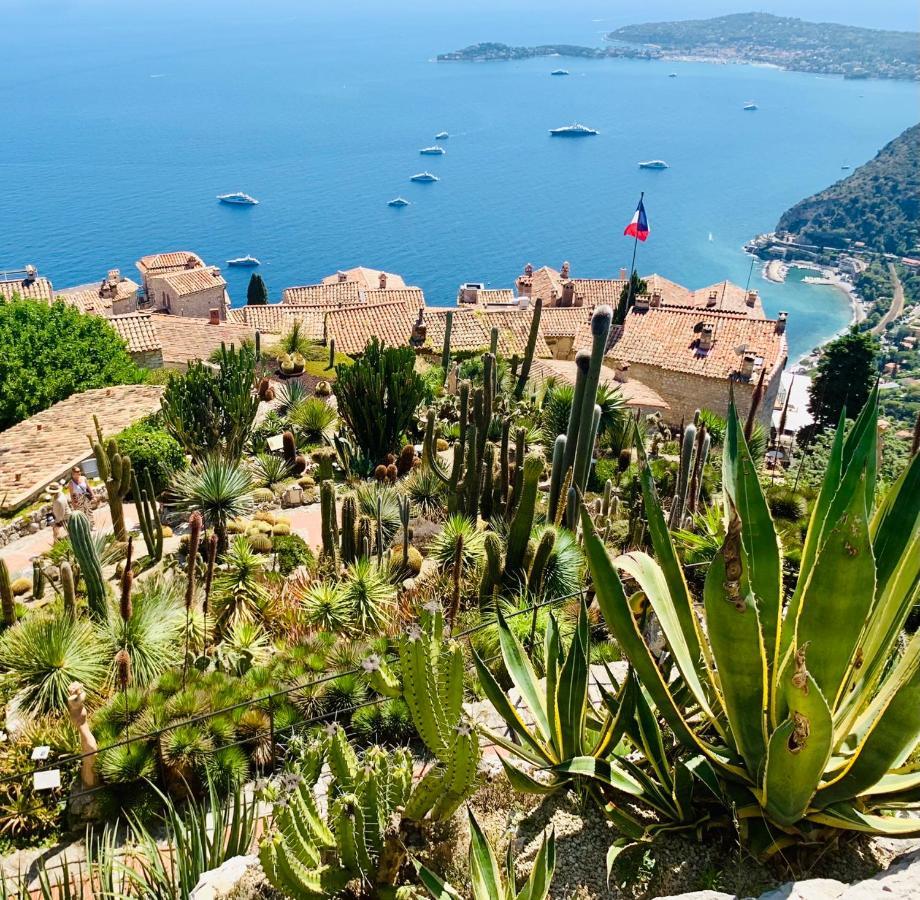 Apartment Le Vallombrosa T2 Cannes