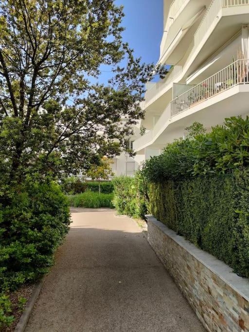 Terrasse - Studio Californie Cannes