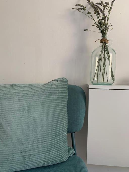 Apartment Lumineux Studio 20mins A Pieds De La Croisette *