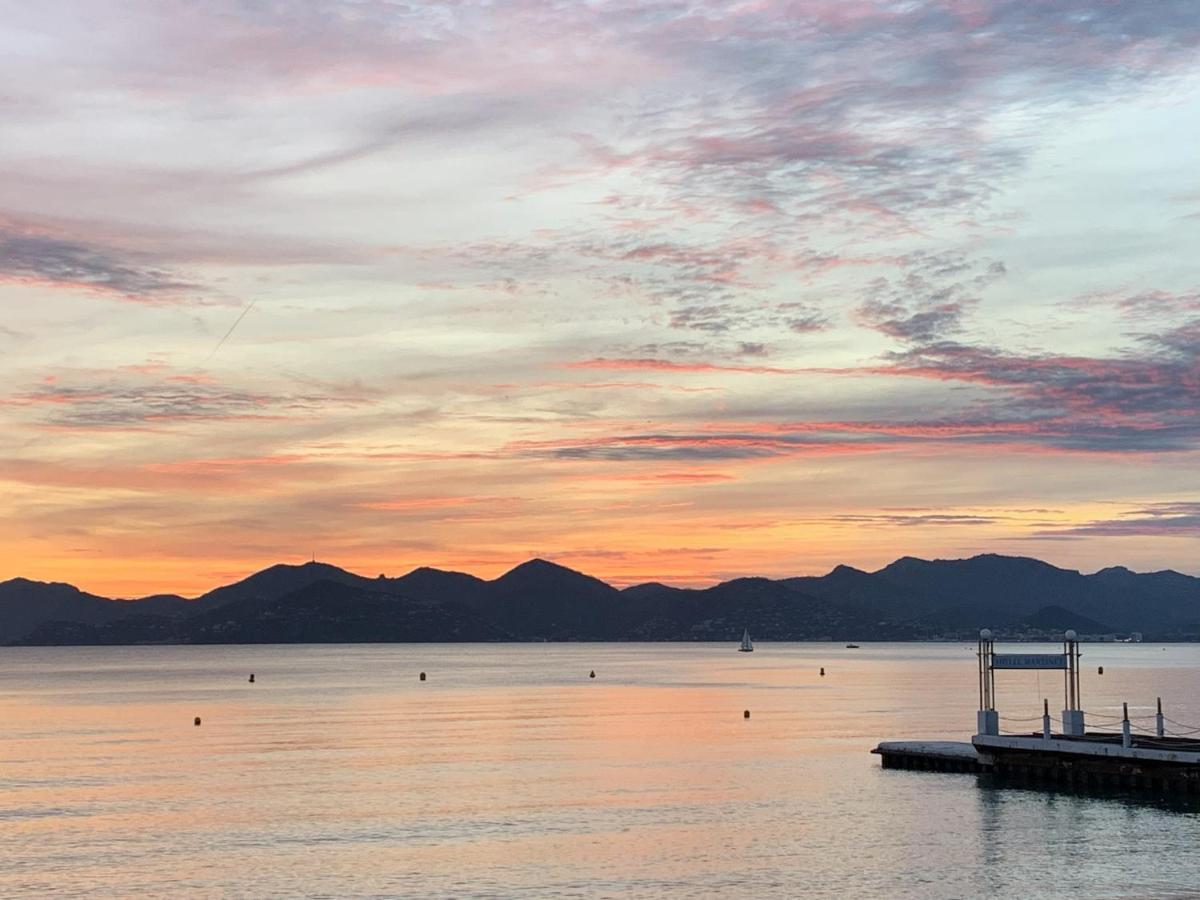 Apartment Festival De Palmiers, Plages-congres, Cocon De Calme Au Coeur De Cannes
