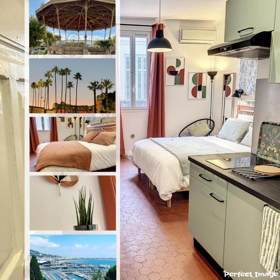 Festival De Palmiers, Plages-congres, Cocon De Calme Au Coeur De Cannes