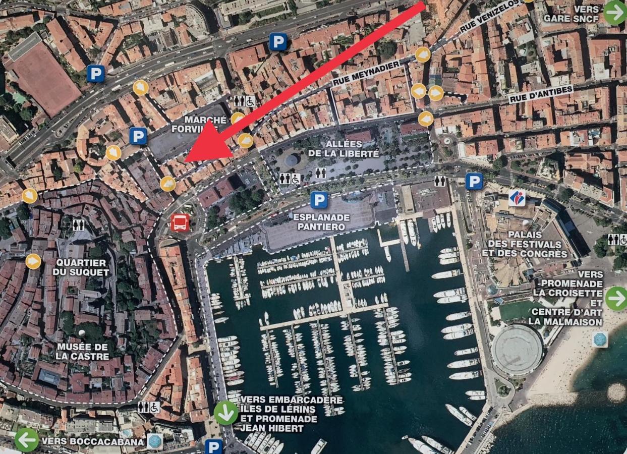 Festival De Palmiers, Plages-congres, Cocon De Calme Au Coeur De Cannes