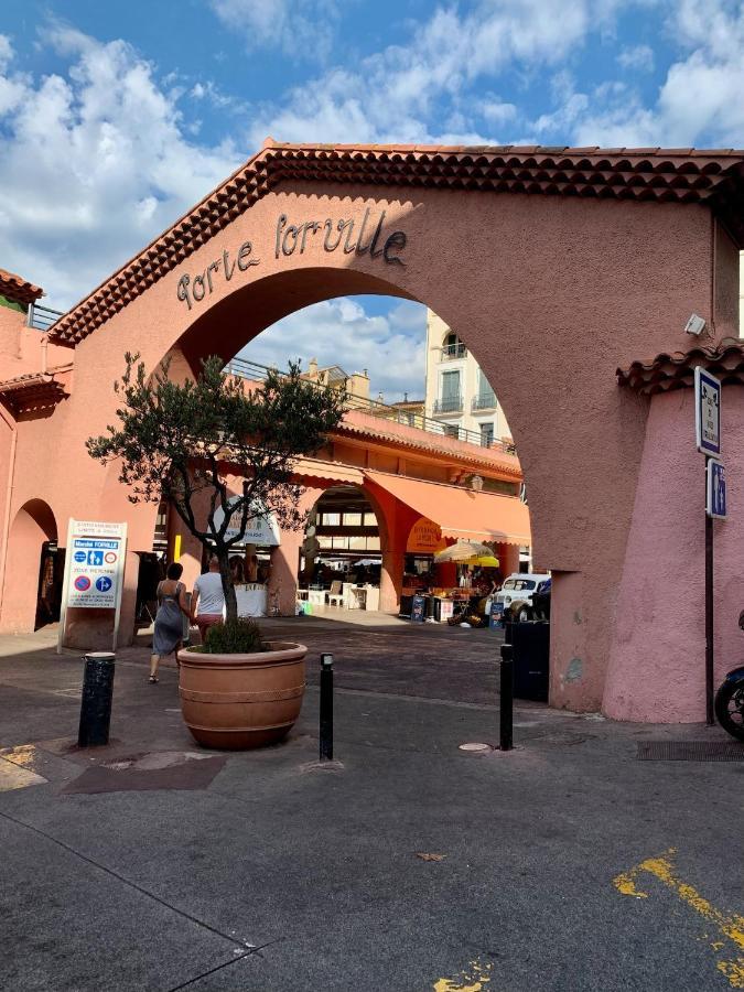 Festival De Palmiers, Plages-congres, Cocon De Calme Au Coeur De *
