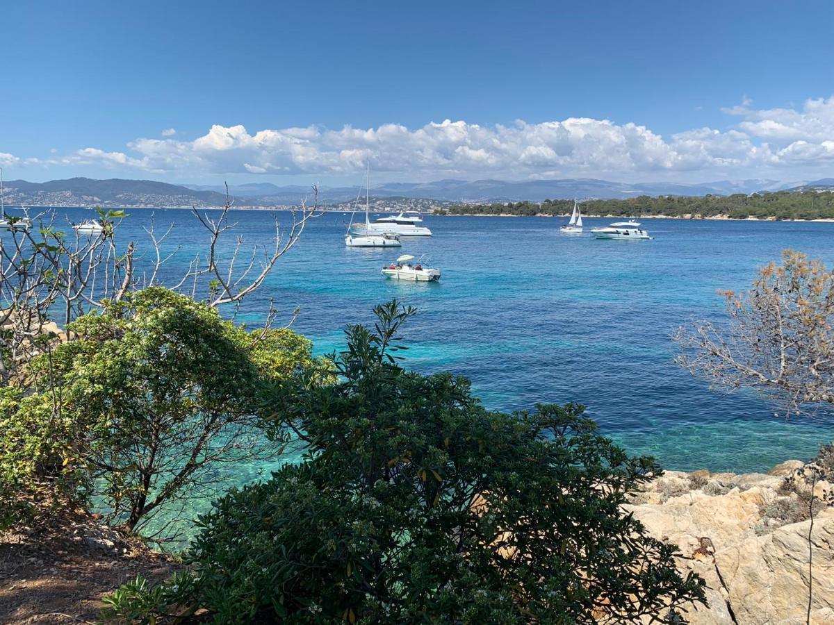 Festival De Palmiers, Plages-congres, Cocon De Calme Au Coeur De *